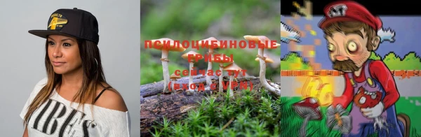 амф Новодвинск