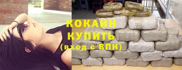 соль ск Богданович