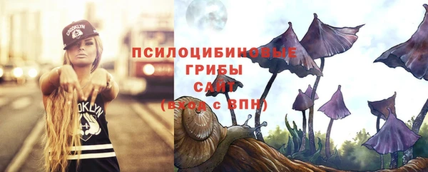 mdma Новозыбков