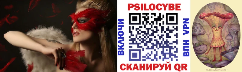 Псилоцибиновые грибы прущие грибы  hydra как войти  Пермь 